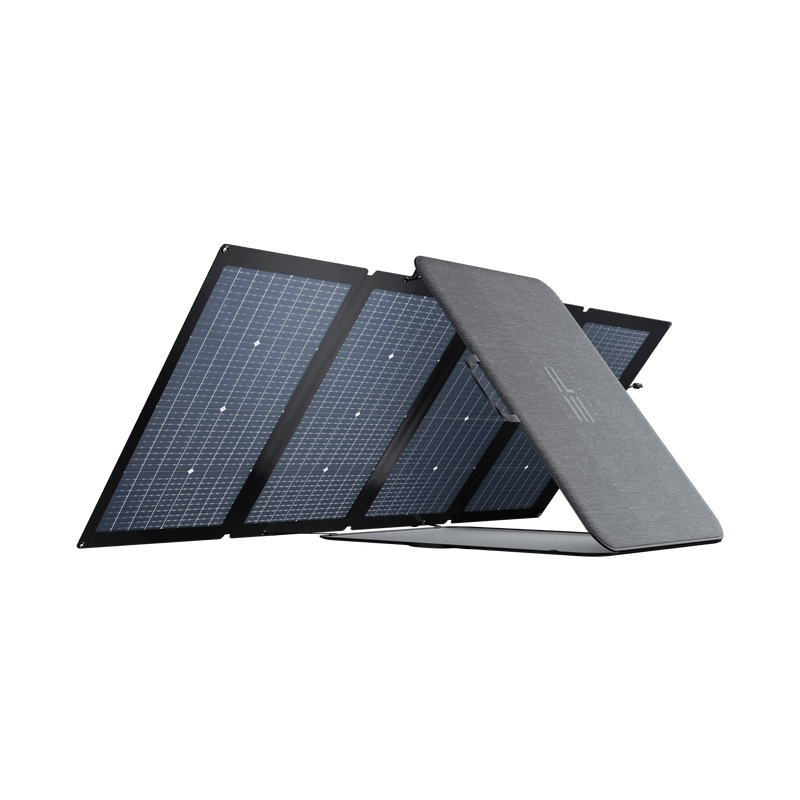 Load image into Gallery viewer, EcoFlow EcoFlow 220W Bifacial Portable Solar Panel